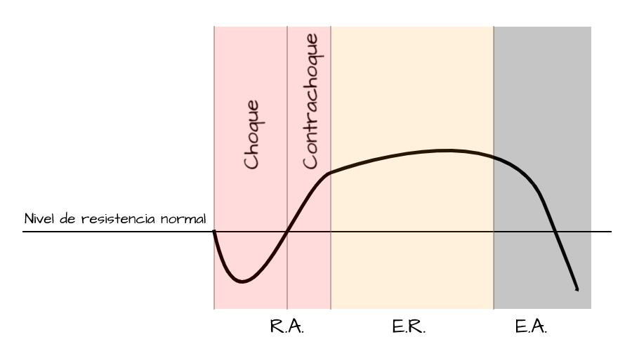 Fases Estrés