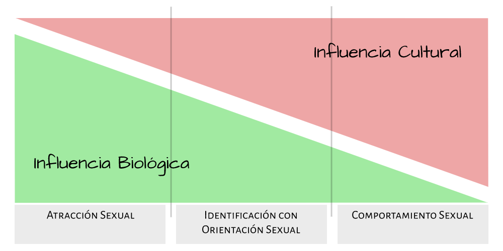 Orientación Sexual